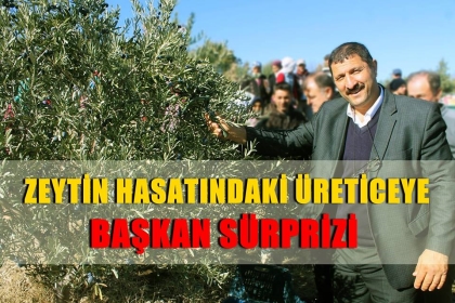 ZEYTİN HASATI YAPAN ÇİFTÇİLERE, BAŞKAN SÜRPRİZ YAPTI.