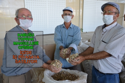 HAŞHAŞTA FİYAT YÜKSEK, ÜRETİCİDE MORALLER YÜKSEK