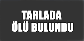 TARLADA ÖLÜ BULUNDU !!!