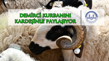 VEKALET İLE KURBAN BAĞIŞINDA DEMİRCİ REKORA KOŞUYOR