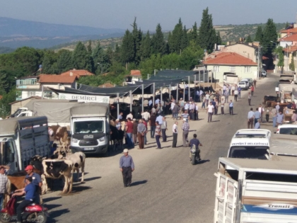 KURBAN PAZARINDA YOĞUNLUK, İŞTE FİYATLAR