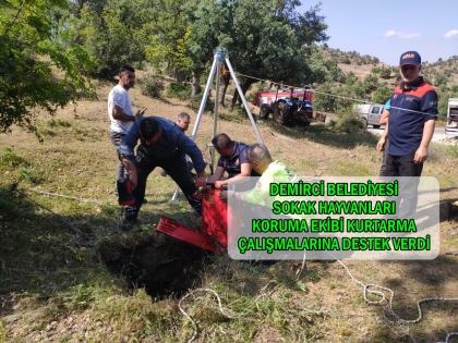 SU KUYUSUNA DÜŞEN KÖPEK EKİPLERİN YARDIMIYLA KURTARILDI