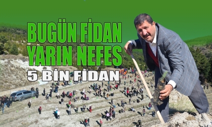 FİDANLAR TOPRAKLA BULUŞTU