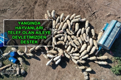 ALLAH DEVLETİMİZE ZEVAL VERMESİN