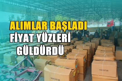 ALIMLAR BAŞLADI, ÜRETİCİ'DE YÜZLER GÜLÜYOR