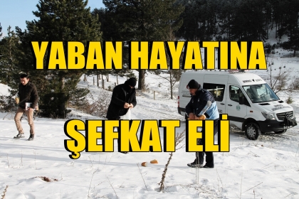YABAN HAYATINA ŞEFKAT ELİ