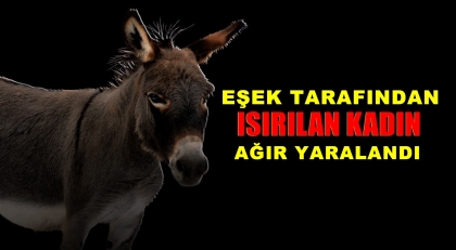 EŞEK GAZABA GELİNCE
