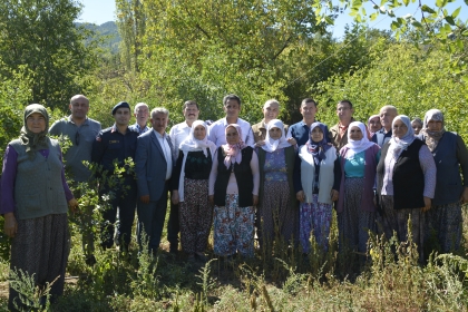 DEMİRCİ SÖĞÜTÇÜK MAHALLESİNDE HÜNNAP HASADI