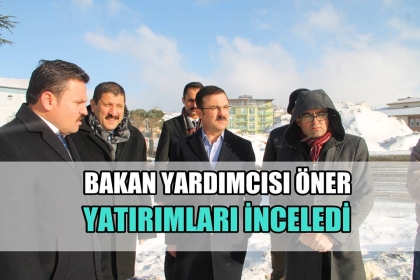 BAKAN YARDIMCISI ÖNER, YATIRIMLARI İNCELEDİ