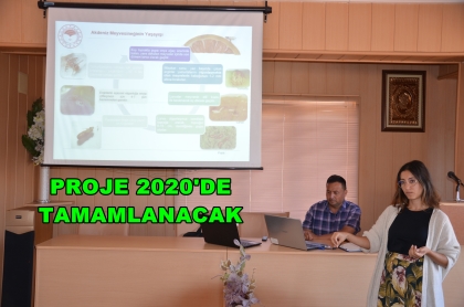 UZAK DOĞU'NUN ARADIĞI KİRAZ ARTIK DEMİRCİ'DE