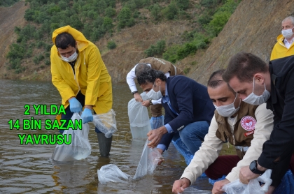 DEMİRCİ'DE 9 BİN BALIK YAVRUSU SUYLA BULUŞTU