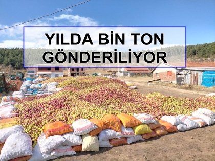 DEMİRCİ'DE YILDA 3 BİN TON ELMA ÜRETİLİYOR