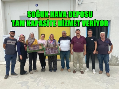 DEMİRCİ KİRAZI SONBAHAR'DA DA RAFLARDA OLACAK