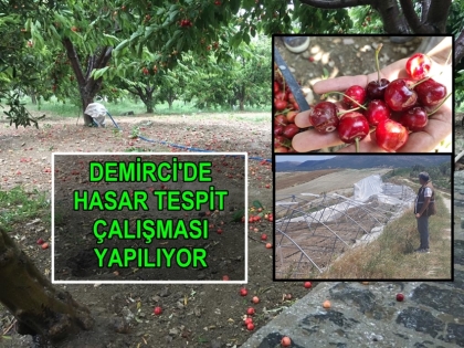 FIRTINA VE YAĞIŞ TARIM ARAZİLERİNDE HASARA NEDEN OLDU