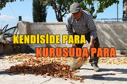 KENDİSİ DE PARA, KURUSU DA PARA