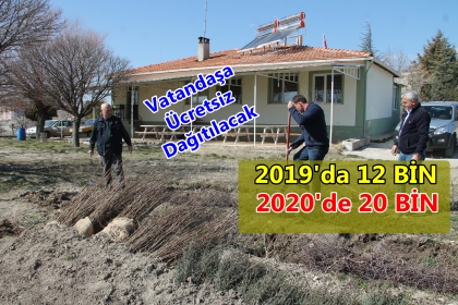 FİDANLAR ÜCRETSİZ DAĞITILACAK