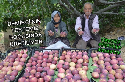 DEMİRCİ İNCİRİ YURT İÇİ PAZARLARINA GÖNDERİLİYOR