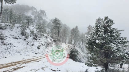 MERKEZDE YAĞMUR, YÜKSEKLERDE KAR