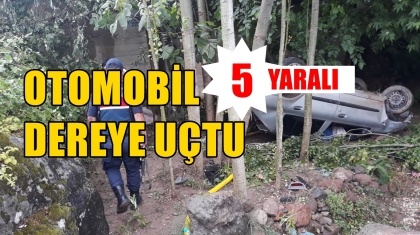 OTOMOBİL DEREYE UÇTU, 5 YARALI