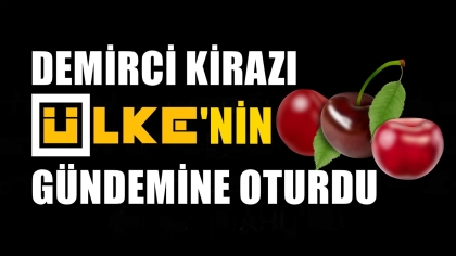 DEMİRCİ KİRAZI, ÜLKE GÜNDEMİNE OTURDU