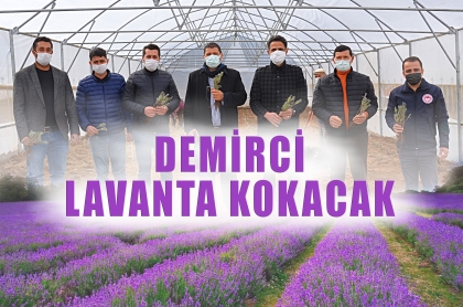 İLK FİDELER TOPRAKLA BULUŞTU