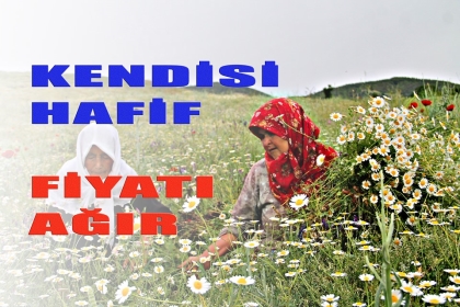 DAĞLARDAN TOPLANIYOR, KİLOSU 35 LİRA'YA SATILIYOR