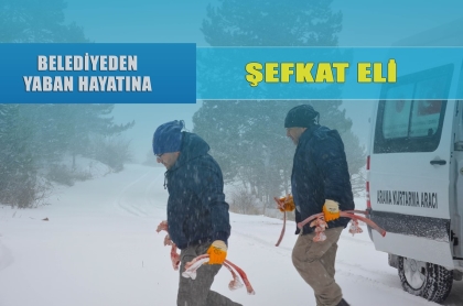 3 NOKTAYA HAYVANLAR İÇİN YİYECEK BIRAKILDI