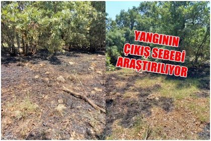 DEMİRCİ'DE YANGIN, EKİPLERDEN HIZLI MÜDAHALE