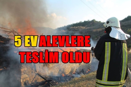 5 EV ALEVLERE TESLİM OLDU, EKİPLER TEYAKKUZDA