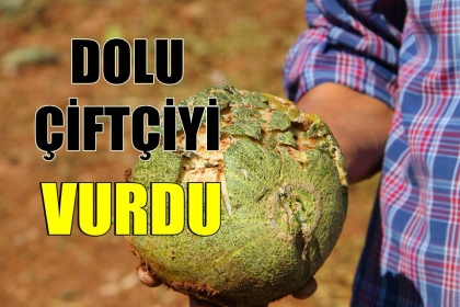 DOLU, ÇİFTÇİ'Yİ VURDU