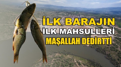 İLK BARAJIN, İLK MAHSULÜ, MAŞALLAH DEDİRTTİ