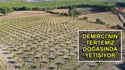 DEMİRCİ'DE ÜRETİLİYOR, YURT DIŞINA İHRACAT YAPILIYOR.