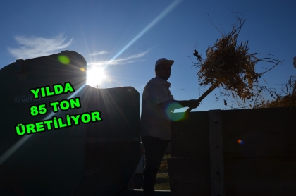 LEZZETİ İLE ANADOLU PAZARLARININ GÖZDESİ