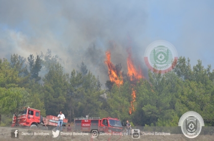 DEMİRCİ'DE YANGIN, SÖNDÜRME ÇALIŞMALARI SÜRÜYOR