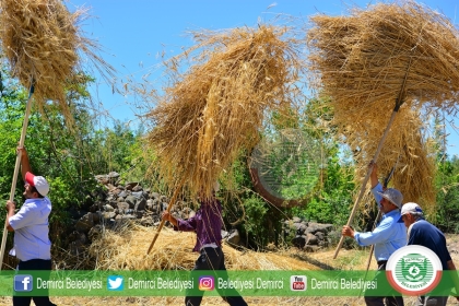 HARMANCILARIN, YAZ SICAĞINDA ZORLU MESAİSİ