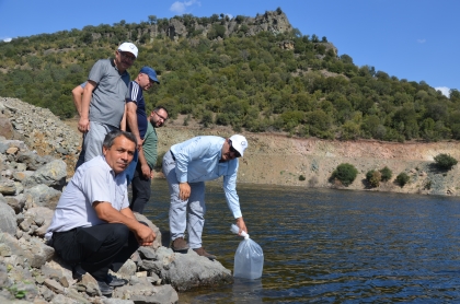  DEMİRCİ'DE 4 BARAJA 34 BİN YAVRU BALIK BIRAKILDI