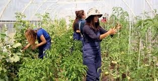 DEMİRCİ'DE GENÇ ÇİFTÇİ MÜRACAATLARI TAMAMLANDI