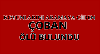 KOYUNLARINI ARAMAYA GİDEN ÇOBAN, ÖLÜ BULUNDU !!!