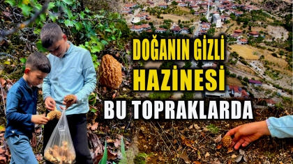 DOĞANIN GİZLİ HAZİNESİ DEMİRCİ TOPRAKLARINDA