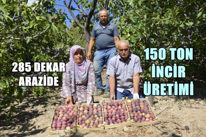 ANADOLU PAZARLARININ GÖZDESİ DEMİRCİ İNCİRİ