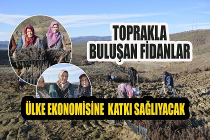 DEMİRCİ’DE 19 BİN 500 GELİR GETİRİCİ FİDAN VE BİTKİ DİKİLDİ