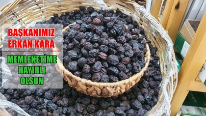 DEMİRCİ FİGANİ EFENDİ ERİĞİ COĞRAFİ İŞARET TESCİLİ ALDI