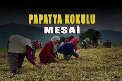 DEMİRCİ'NİN TERTEMİZ DOĞASINDA YETİŞİYOR