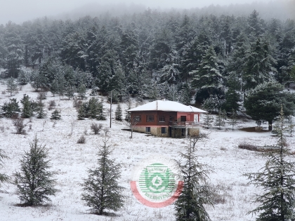 MERKEZDE YAĞMUR, DAĞDA KAR...