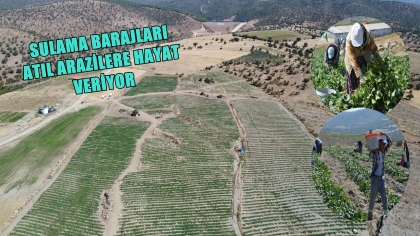 ÇİFTÇİ KAZANIYOR, DEMİRCİ KAZANIYOR, TÜRKİYE KAZANIYOR...