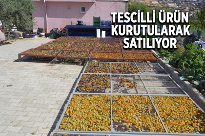 GEÇMİŞTEN GELECEĞE UZANAN 138 YILLIK ŞİFA KAYNAĞI