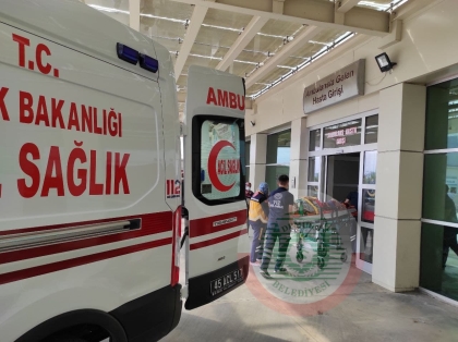 DEMİRCİ'DE ÇAPA MOTORU KAZASI 3 YARALI