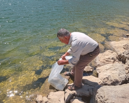 DEMİRCİ’DE 5 GÖLETE 75 BİN YAVRU SAZAN BIRAKILDI